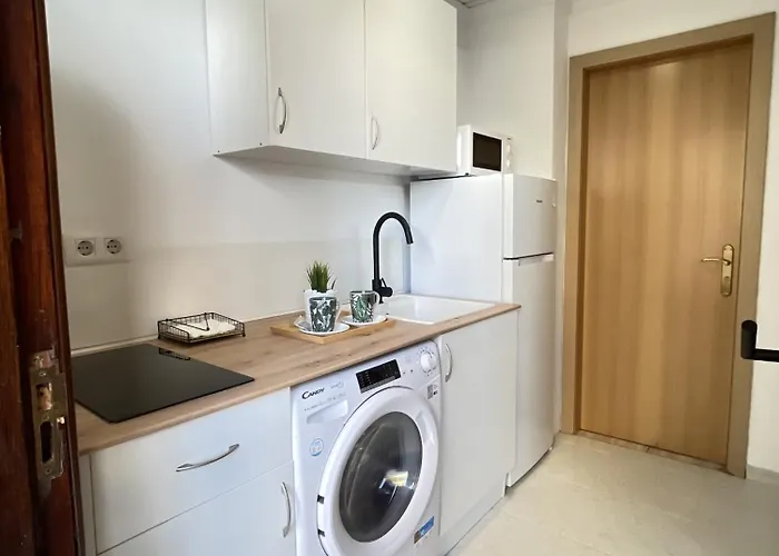 Palmeras Puerto de la Cruz (Tenerife)