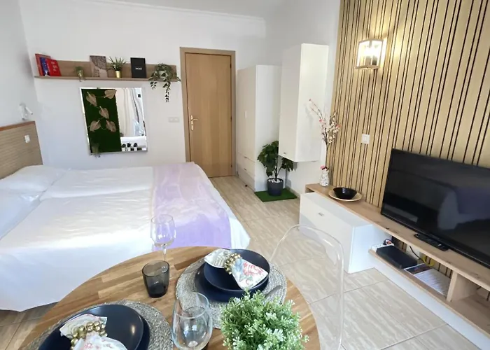 Palmeras Apartment Puerto de la Cruz (Tenerife)